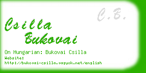 csilla bukovai business card